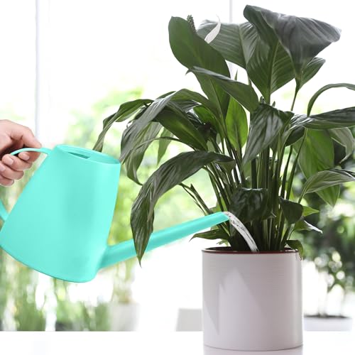 Image of Plastic Watering Can - for Home Plant Garden - 1 /2 Gallon - SkyBlue
