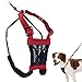 SPORN No-Pull  Dog Harness, Mesh, Red, Medium
