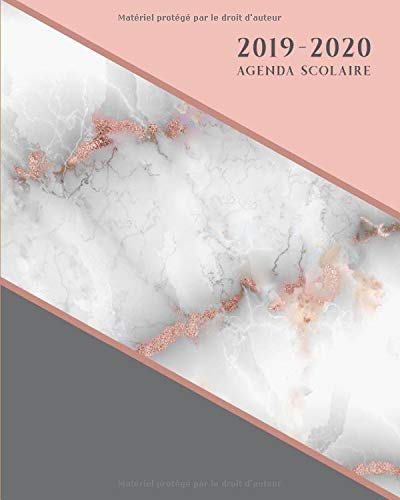 Télécharger Agenda Scolaire: Planificateur Organisateur Mensuel et Semainier - Gris Rose Marbre Livre PDF Gratuit