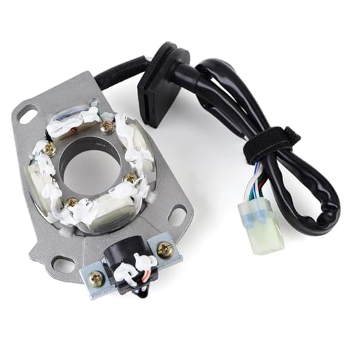 Stator magnéto pour Yamaha YZ125 de 2005 à 2021 bobine d'allumage moto alternative 1C3-85560-00