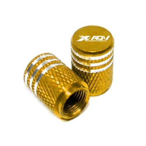 Bouchons de valve pneu moto XADV 750 pour éviter la corrosion du guidon