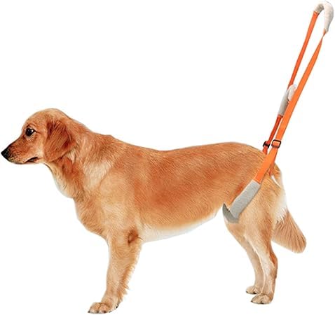 Wnicek 犬用ハーネス 犬用介護ハーネス 歩行補助 通気性 介護 欠陥犬 散歩 おトイレが楽に歩行サポート散歩用 登山用 車や階段を乗る補助 調節しやすい小型犬 中型犬 大型犬 老犬 介護用品脱着簡単 お出かけ便利 ソフトレッグサポートは高齢者 負傷者