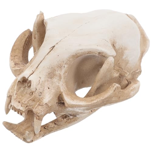 BESTOYARD Resin Animal Skeleton Fortune Cat Skeleton Model Cat Skull Figurine Aquarium Fish Tank Landscape Halloween Party Decoration