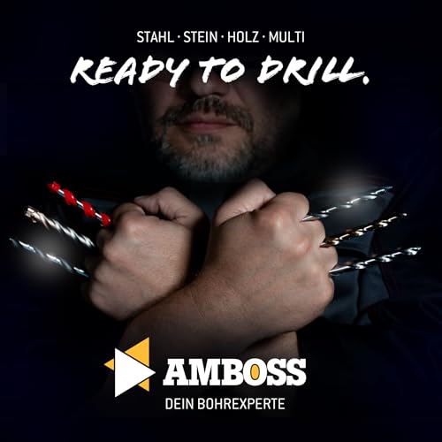 Gewindeschneider Set Metrisch, M3 - M12, 15tlg. HSS-G/Windeisen/Amboss Tap Force/Gewindeschneidsatz, Gewindeschneidsortiment, Schneidsatz, Gewindebohrer Set / M3 & M4 & M5 & M6 & M8 & M10 & M12