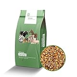 gebrochen als Futtermais Schkade Landhandel GmbH Mais gebrochen; 25 kg; Quetschmais