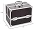 Caboodles Love Struck Six Tray Makeup Train Case, 3.91 Pound