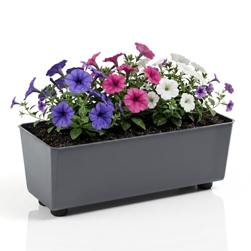 Lamela Rechteckiger Pflanzkasten mit eleganten Füßen – Antrazit Blumenkübel aus robustem Kunststoff 37x17 cm, 6L – Wetterfest & Pflegeleicht - für Innen & Außen, Anti-meise