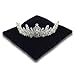 Resonant Energies 8.5 Inch Square Black Velvet Tiara & Crown Display Pillow Stand, 'Bean Bag' Support, TPV3X
