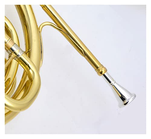 Alfaal Professional F/Bb French Horn Is Suitable For Brass Band Professional French Horn #TOP5