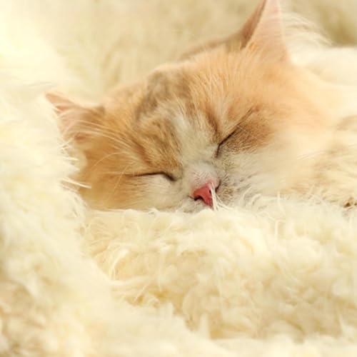 Lit plancher chat anti-dérapant en mousse et coton PP isolant