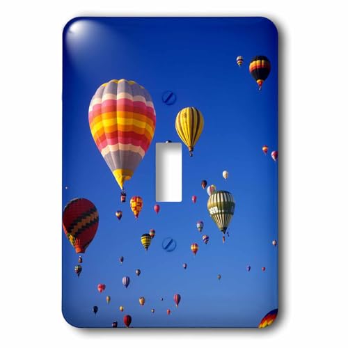 Interrupteur montgolfière pour remplacer une plaque murale blanche - 2
