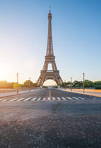 OERJU 6x9ft Eiffel Tower Backdrop Blue Skies World Famous Landmark Eiffel Tower Background for Photography Wedding Bridal Shower Party Decor Banner Traveller Party Kids Adults Photo Props