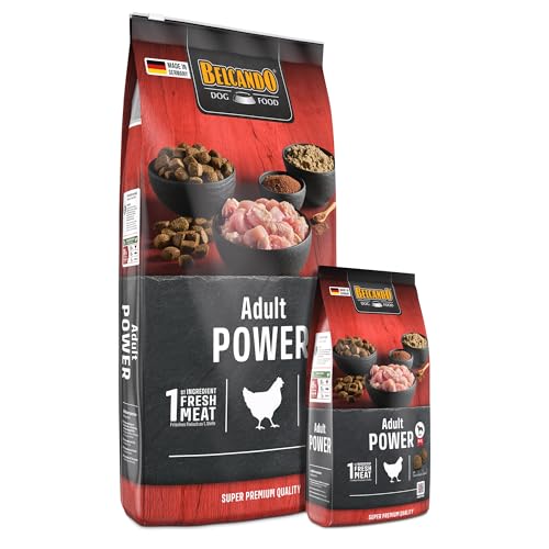 Belcando Adult Power Hundefutter | Trockenfutter für sehr aktive Hunde & Sporthunde… – Ansicht 6