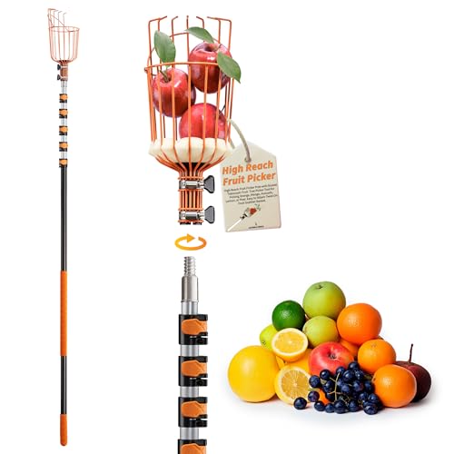 Fruit Picker Pole with Basket Telescoping 5-24 ft Apple Picker Extension Pole // Telescopic Fruit Tree Picker Tool for Picking Orange Mango Avocado Lemon Pear // The Ultimate High-Reach Fruit Grabber