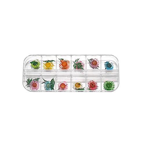 Caja de Flores Secas Naturales para Manualidades miniatura 1