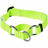 Blueberry Pet Essentials Martingale Safety Training Dog Collar, Highlighter Yellow, Medium, Heavy Duty Nylon Adjustable Collars for Dogs