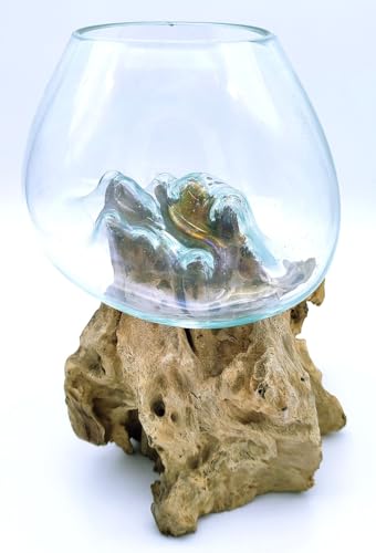 Vase en Verre soufllé sur Racine de Bois, Hauteur Environ 12cm. Chaque Vase est Unique, Envoi aléatoire. Livraison en Point Relais. Vendeur Francais.