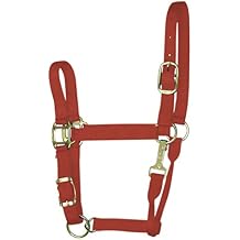 Hamilton 3/4 Adjustable Quality Horse Halter, 200-300 lb