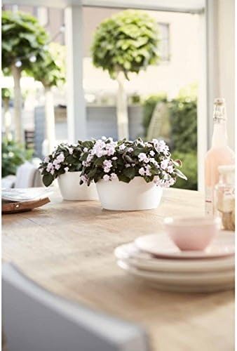 Elho Vaso Per Fiori Brussels Round 16, Marrone, 16x14,7 Cm, Per Interni, In Plastica Riciclata, Impermeabile, Garanzia 3 Anni