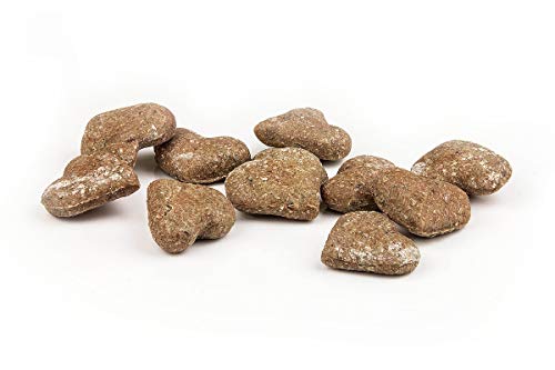 napani Herzens-Keks - vegane Hundeleckerli, Hundekekse aus Bio-Rote Beete, Bio-Kokosöl & Bio-Chia Samen, lecker & ohne künstliche Zusätze, Hand gefertigt, hauseigene Rezeptur aus Bayern, 1 x 200g