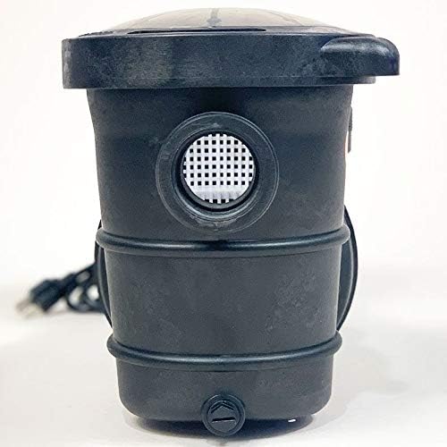 Bomba Periférica Doheny's 1.5 HP 115V para piscina miniatura 8