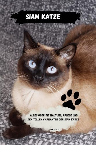 Siam Katze Ratgeber: Alles über Haltung, Pflege und den tollen Charakter der Siam Katze