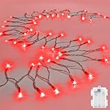 cshare String Lights Outdoor Waterproof 9.8ft 30 LED, Red Fairy Lights Battery Operated with Timer Clear Wire for Indoor & Outdoor Christmas Vanlentines Decorations Garland Party Garden