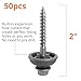 Polycarbonate Tapping Screws for Wood – 2