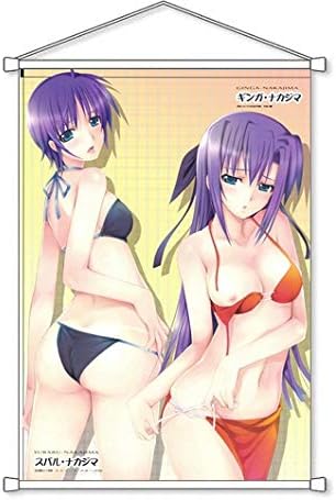 Amazon 魔法少女リリカルなのは B2タペストリー ギンガ ナカジマ スバル ナカジマ 728mm X 515mm アニメ 萌えグッズ 通販