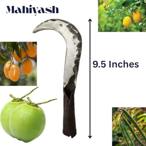 Image of Mahiyash Iron Manual Adjustable Coconut /Fruit Leaf Plucking Tool | Heavy-Duty Cutting Head with Two Adjustable Screws | Fits Wooden /Metal Pole for Coconut Leaves, Palm Fronds /Garden Trimming-No Stick
