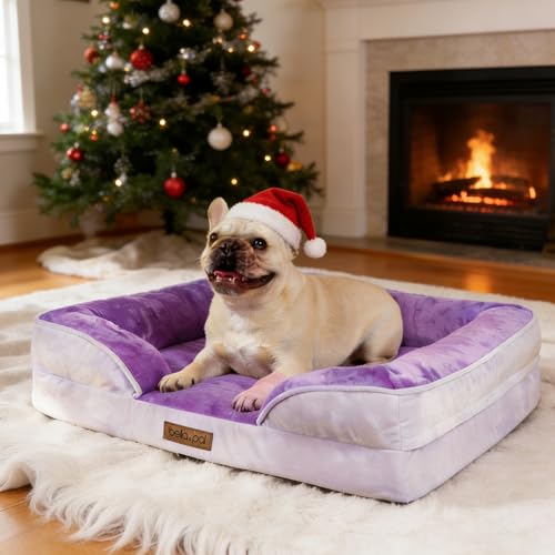 BELLA & PAL Cuccia per Cani Interno, 71x59x16.5cm Letto Ortopedico per Cani Taglia Piccola/Media, Cuscino Cane con Bordo Alto | Divano Cane in Flanella Sfonderabile Impermeabile e Lavabile, Viola