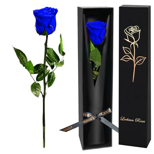 Single Forever Roses Luxury Gift for Women/Men, Birthday Gifts for Women,Flowers Gifts for Girlfriend,Wife,Mom,Anniversary,Valentine's Day,Wedding,Graduation,Presents for Her,Red