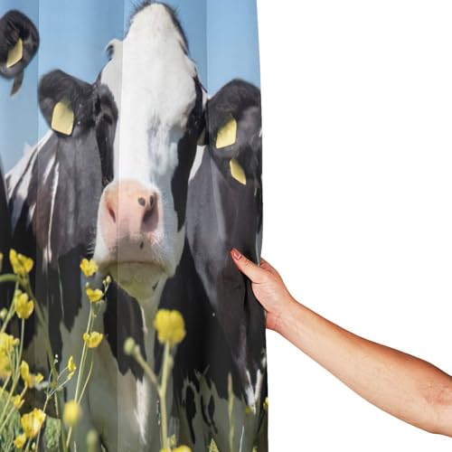 Rideau de douche polyester vaches noires et blanches 183x183cm