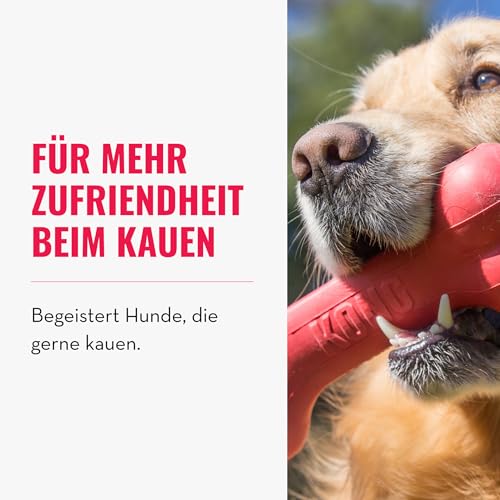 KONG Goodie Bone - Klassischer Hundeknochen aus Naturkautschuk - Leckerlispender - Für Mittelgroße Hunde - Rot