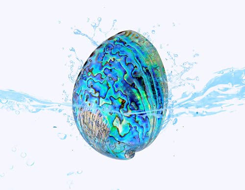 AoVF ʖ Lk ґz Z[W󂯎M   Ƃ̑ Mtgp̓VR̎M Avalon shell