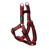 Reflective Step-in Adjustable Harness for Small Dogs; matching collar and lead available, Red