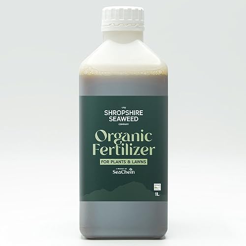 Premium Certified Organic Liquid Seaweed Fertilizer - Concentrated Feed for Plants, Lawns, and Vegetables - The Shropshire Seaweed Company (1L)