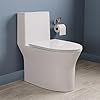 DeerValley Compact One-Piece Toilet for Small Bathrooms, Dual Flush 0.8/1.28 GPF, 900g MAP, Round Bowl, Soft-Close Seat, 12" Rough-In, Space-Saving Design