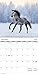 2024 Horses Mini Wall Calendar
