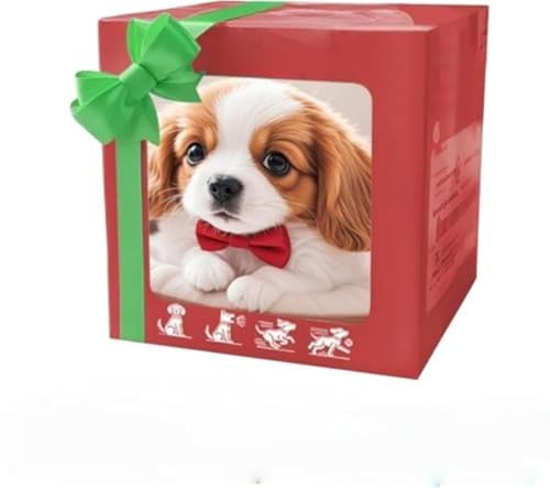 V^ 2026 {bg  X}[gAI{bg ^ ̍ō q {̌̂悤ɓ  i KU j̎q ̎q a NX}Xv[g