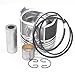 Seapple 2AB1 Overhaul Rebuild Kit Compatible with Isuzu Engine