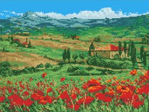 Kit broderie point de croix carthame imprimé pour réussir son canevas sans rater les points