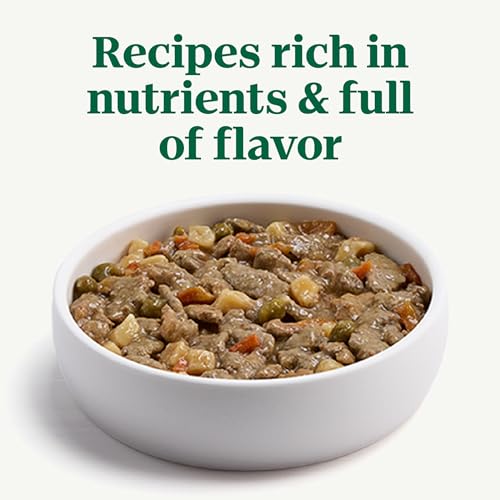Image of Nutro Cuts in Gravy Wet Dog Food, Lamb & Vegetables Stew, 3.5 oz, 24 Count