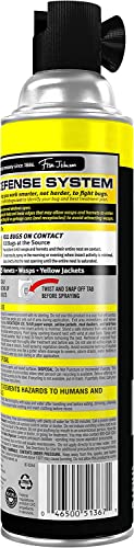 Raid 046500513671 Wasp And Hornet Killer thumb #5