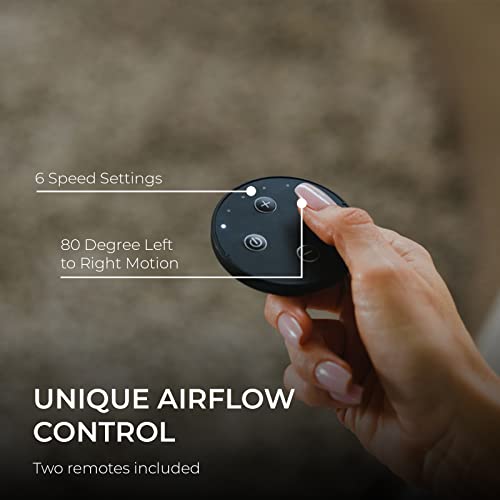 Everdure 49.4 Inch Indoor/Outdoor Pedestal Fan, 6 Speed Settings, Targeted Airflow Control, Oscillating Fan, Remote Control Included, Perfect Cooling Fan For Bedroom, Living Room, Home Office, Black #TOP4