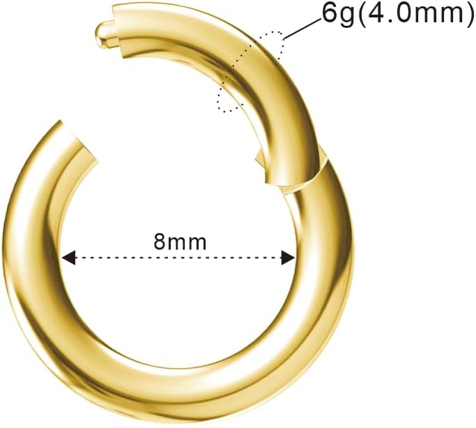 ‌2g/4g/6g/8g/10g/12g/14g/16g/18g/20g Steel Nose Ring,Hinged Clicker Clasp Segment Hoop for Women