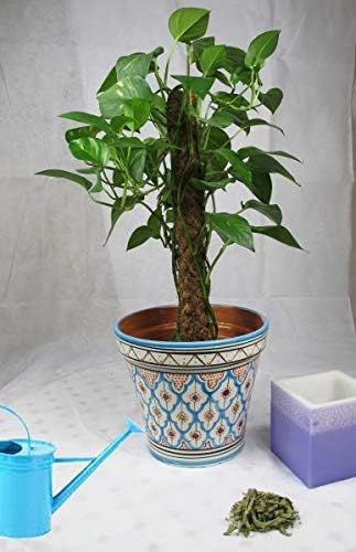 Saharashop Moroccan Ceramic Flower Pot Turquoise 25cm
