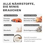 HEY HOLY Premium Trockenfutter für Minis 100% getreidefrei | 7kg Hundefutter für ausgewachsene Minis mit Forelle | Hochverträglich aus natürlichen Zutaten
