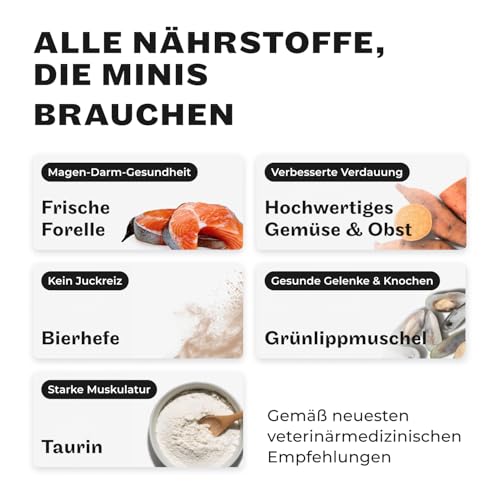HEY HOLY Premium Trockenfutter für Minis 100% getreidefrei | 7kg Hundefutter für ausgewachsene Minis mit Forelle | Hochverträglich aus natürlichen Zutaten