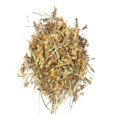 SADHGURU Gule GAAFIS , Gule Gafis | Dry Gentiana Olivieri